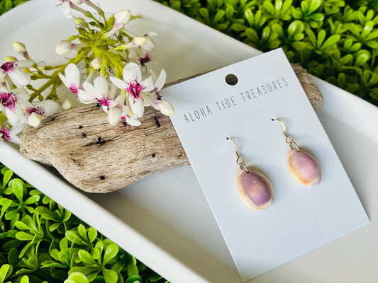 14K GF Cowrie Shell Earrings