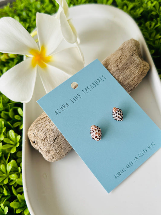 Sterling Silver Drupe Shell Earring Studs