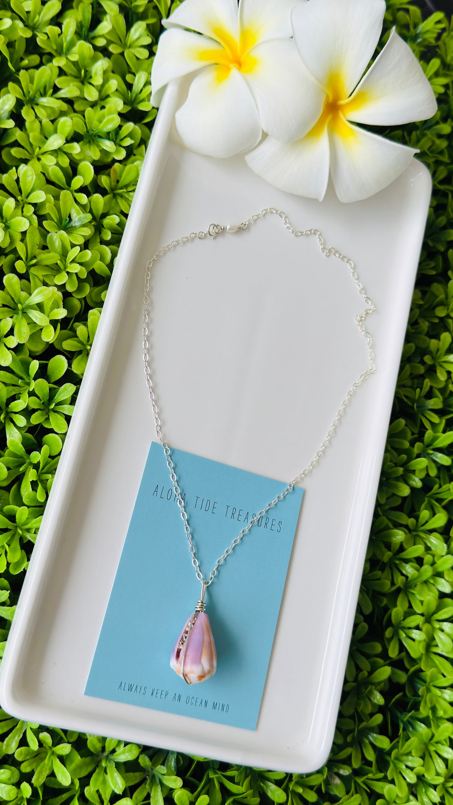SS Cone Shell Necklace 16” - Mallory