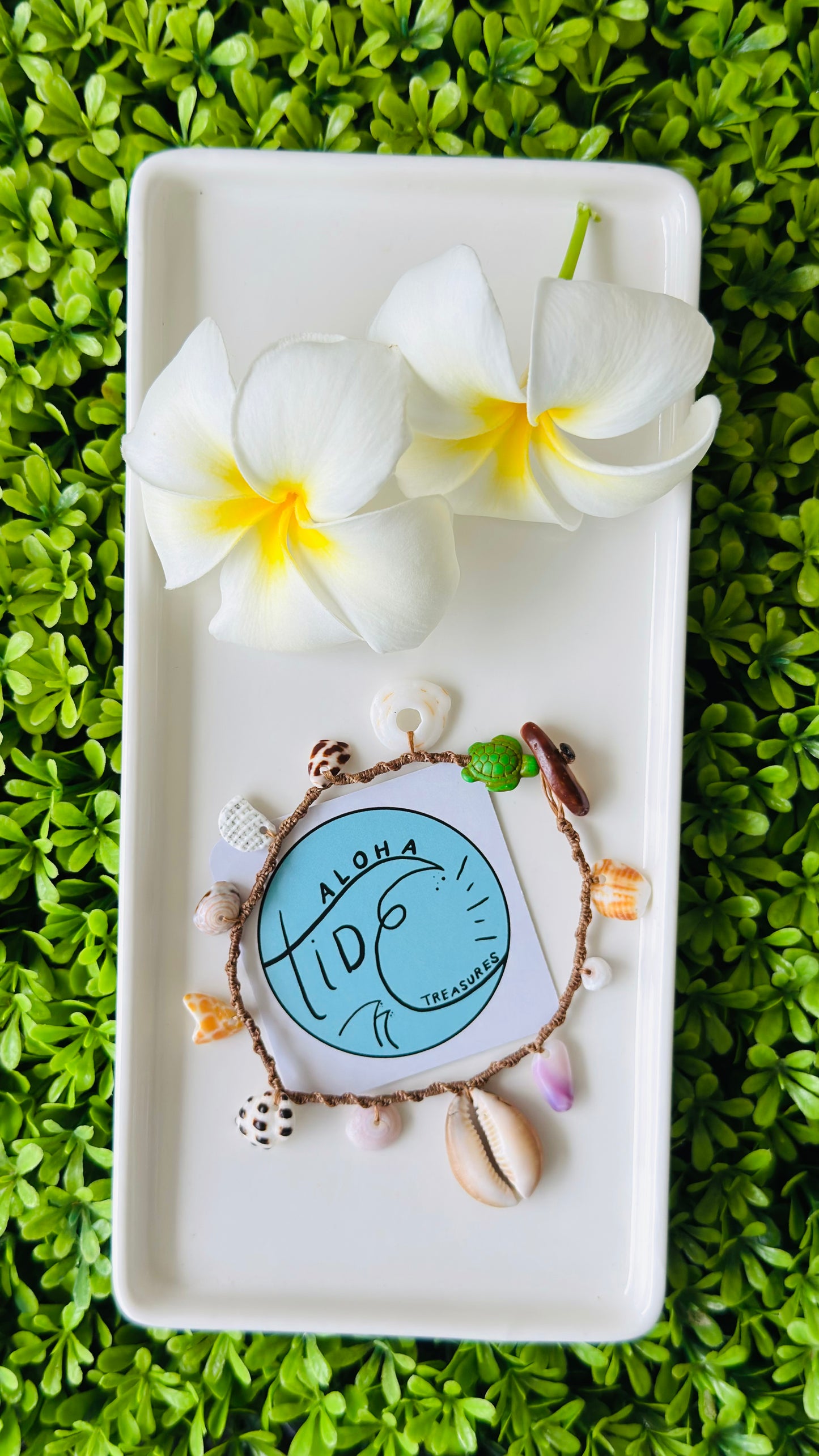 Hawaiian Shell Anklet 9”- Rebekah
