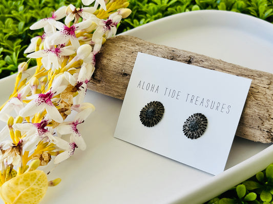 Sterling Silver ‘Opihi Shell Earring Studs
