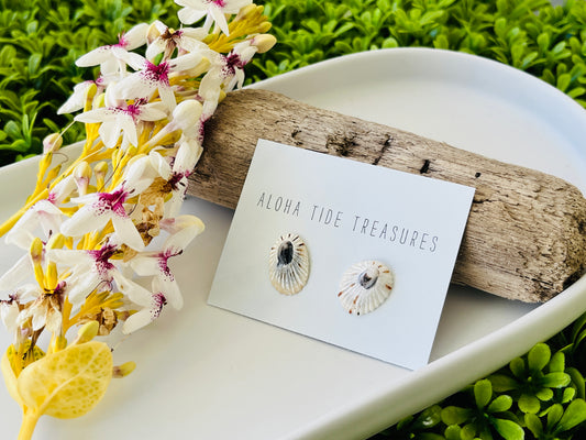 Sterling Silver White ‘Opihi Shell Earring Studs