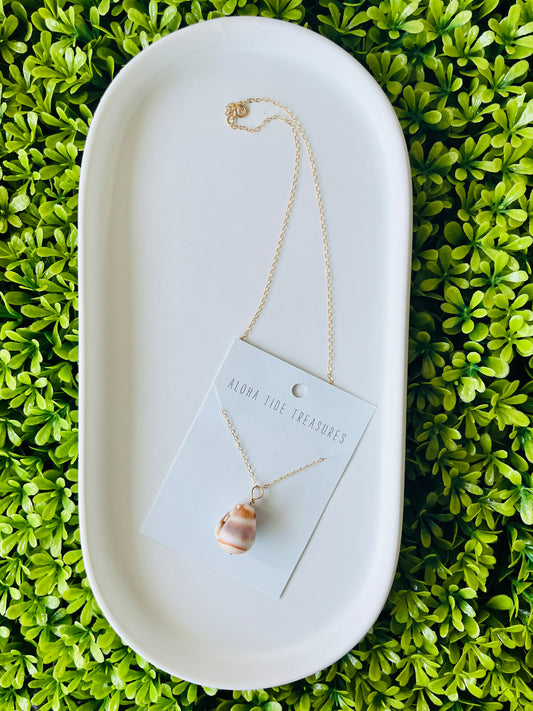 14K GF Cone Shell Necklace 16”