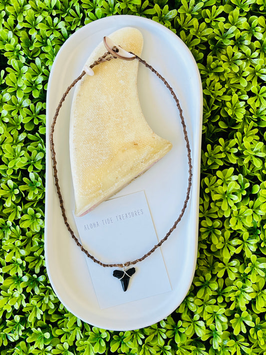 Shark Tooth Necklace 17”