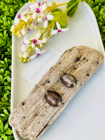 14K GF Cowrie Shell Earrings