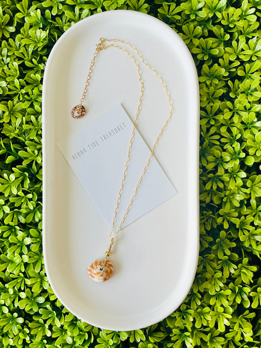 14K GF Puka Shell Necklace 16”