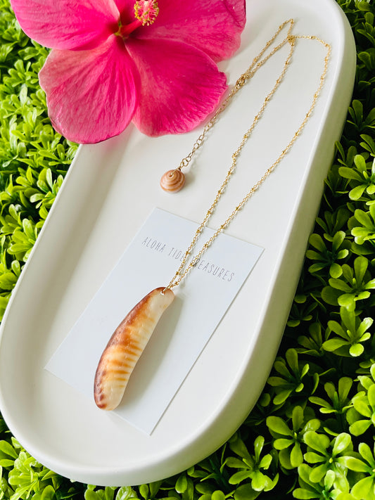14K GF Cowrie Claw Pendant Necklace 16”