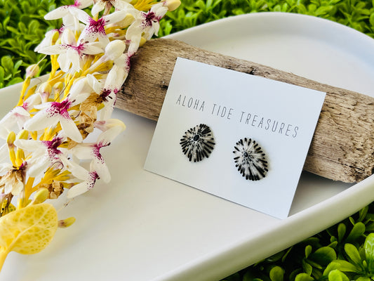 Sterling Silver ‘Opihi Shell Earring Studs
