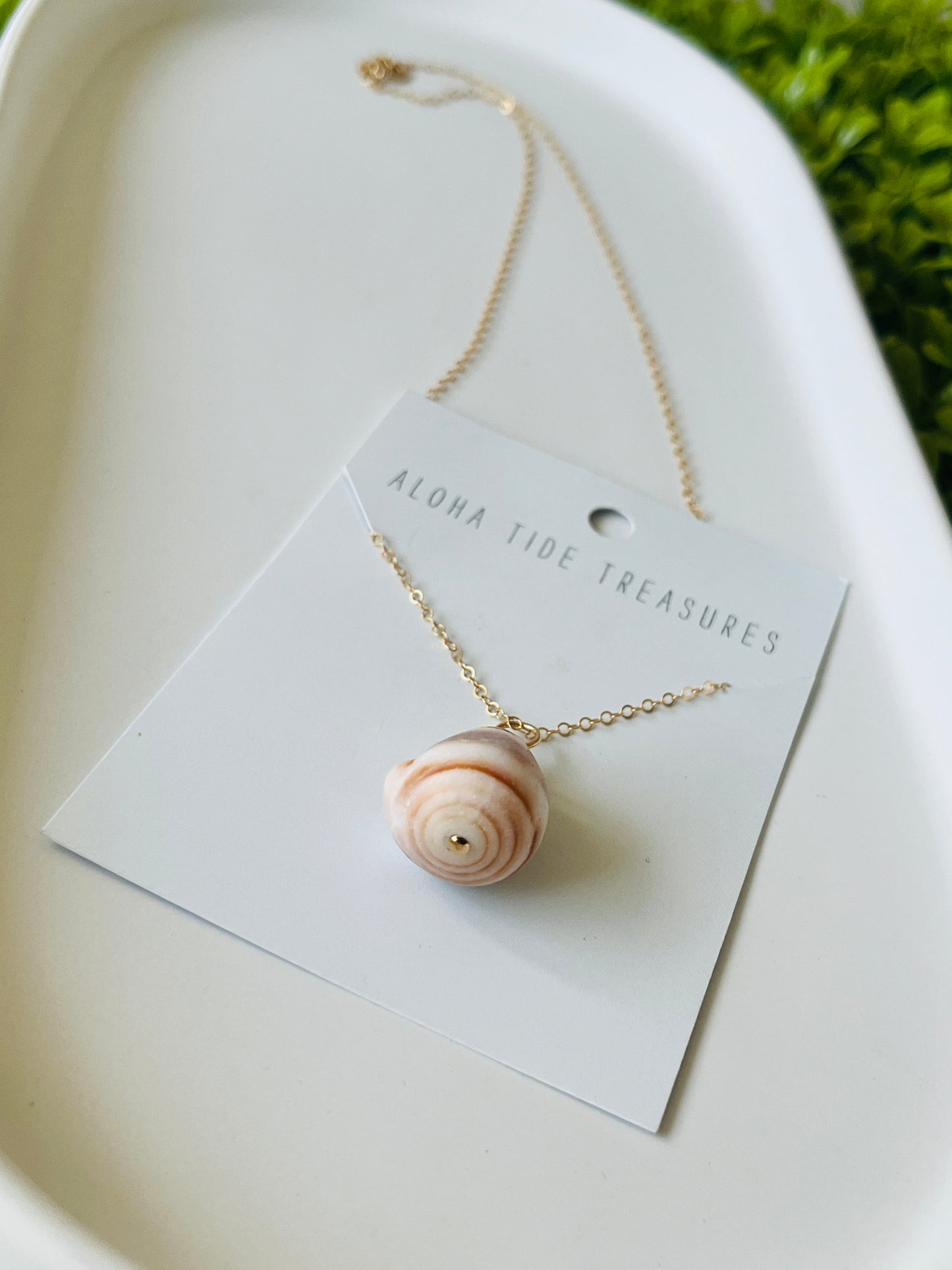 14K GF Cone Shell Necklace 16”