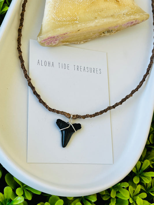 Shark Tooth Necklace 17”