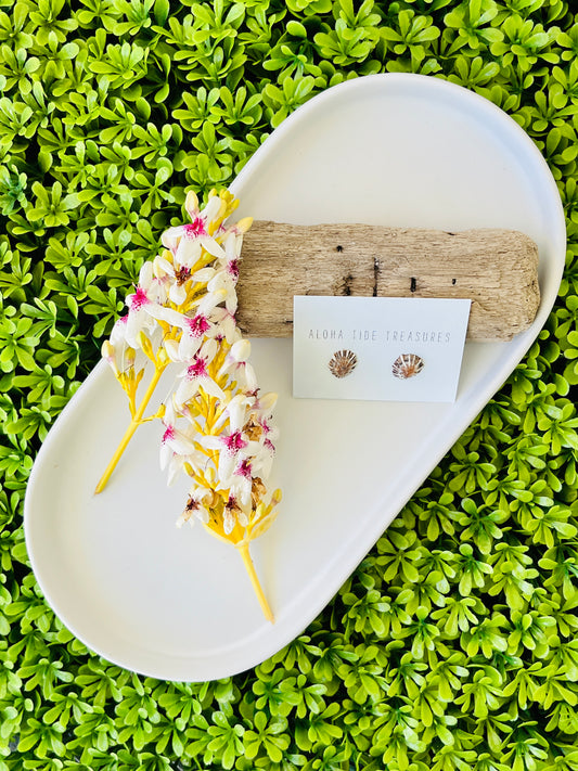 Sterling Silver ‘Opihi Shell Earring Studs