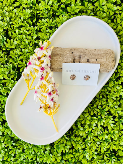 Sterling Silver ‘Opihi Shell Earring Studs