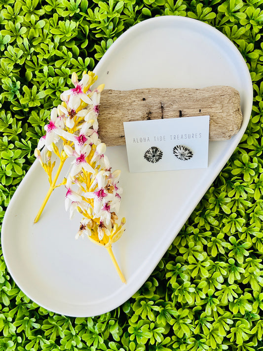 Sterling Silver ‘Opihi Shell Earring Studs