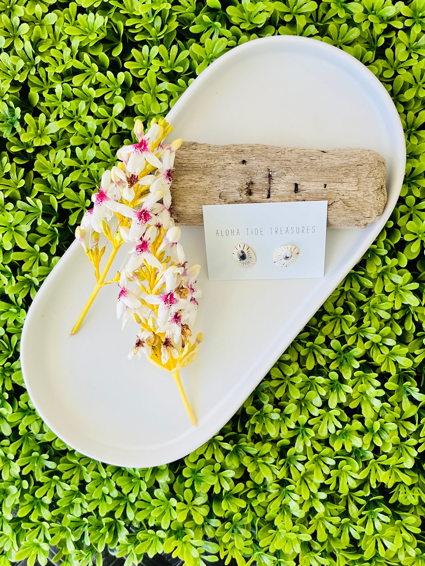 Sterling Silver White ‘Opihi Shell Earring Studs