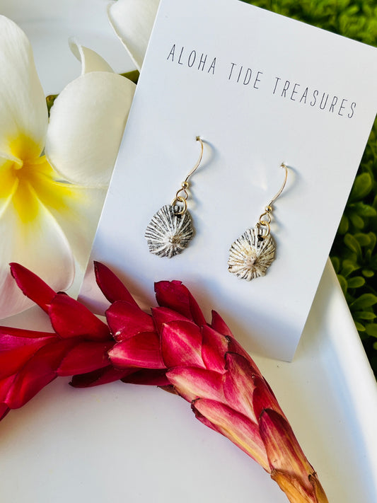 14K GF ‘Opihi Earrings