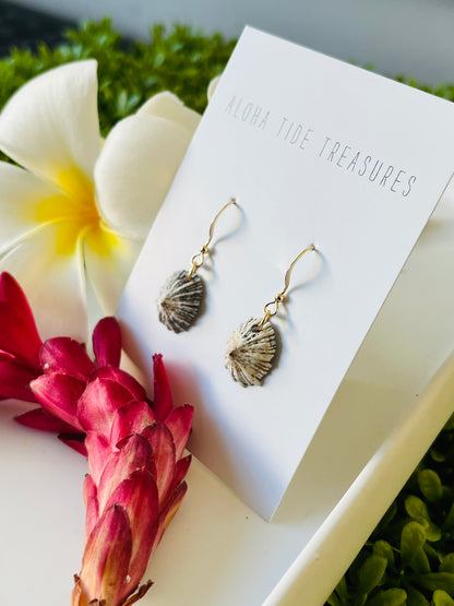 14K GF ‘Opihi Earrings