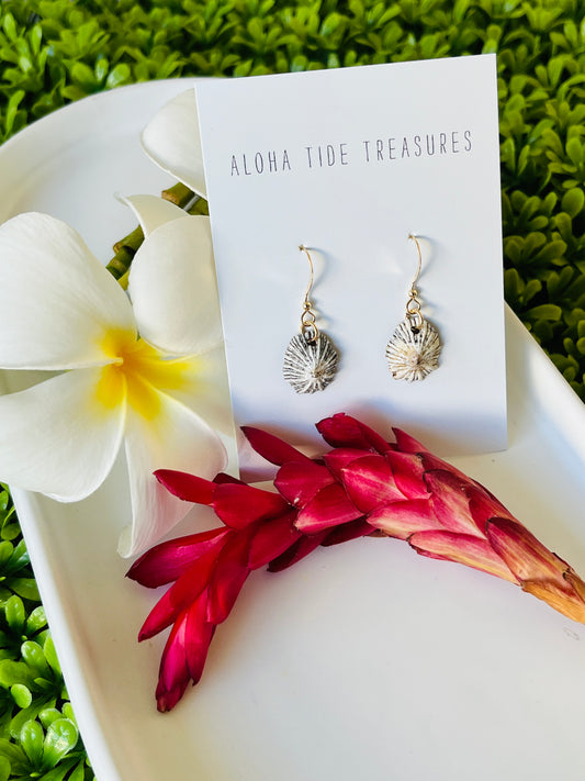 14K GF ‘Opihi Earrings