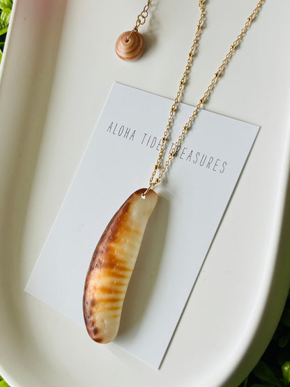 14K GF Cowrie Claw Pendant Necklace 16”