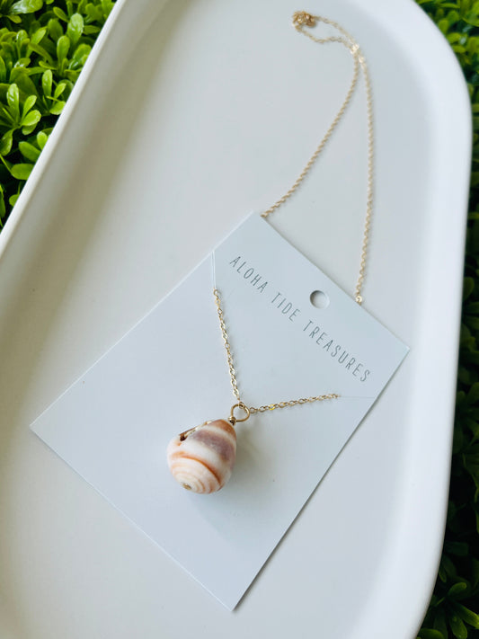 14K GF Cone Shell Necklace 16”
