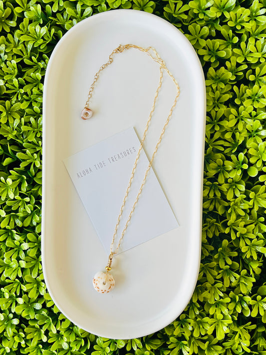 14K GF Puka Shell Necklace 16”
