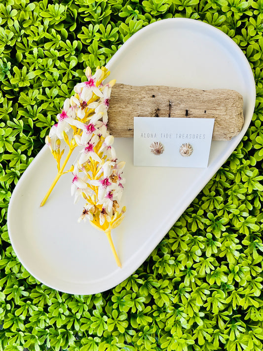 Sterling Silver ‘Opihi Shell Earring Studs